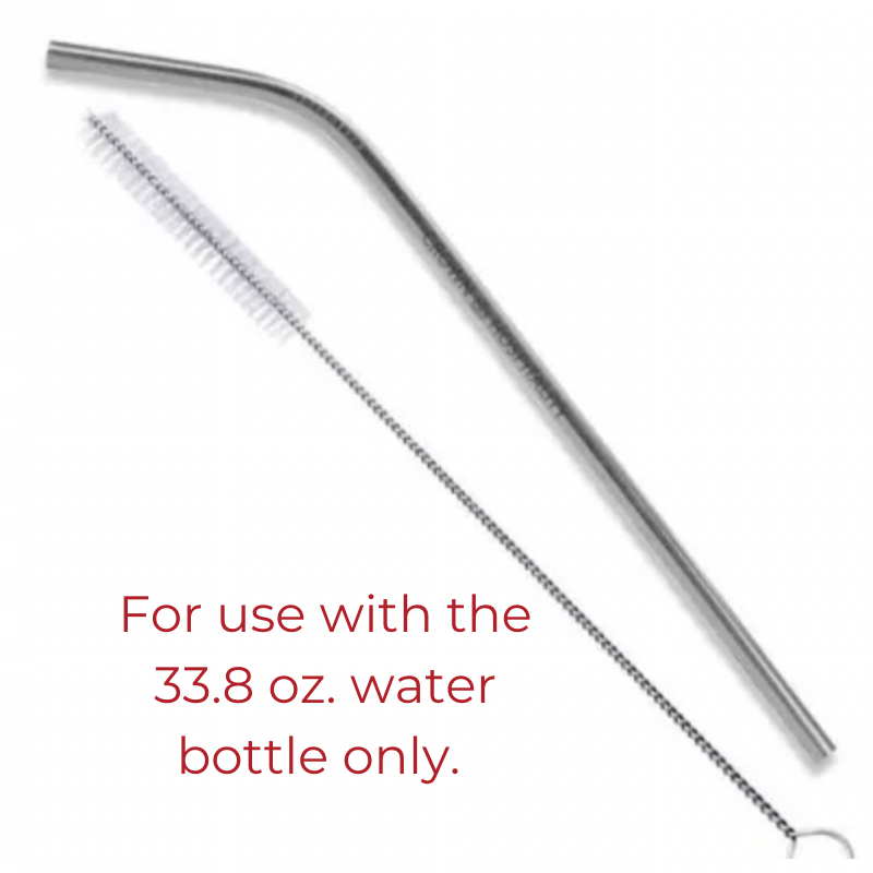 Stainless Steel Straw & Cleaning Brush